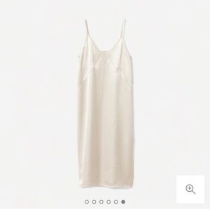 Everlane Champagne Silk Slip Dress